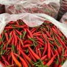 Chị Nguyễn Xuân