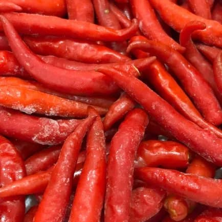 TOÀN PHÁT - ỚT CẤP ĐÔNG