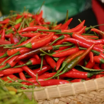 TOÀN PHÁT - ỚT TƯƠI SẠCH