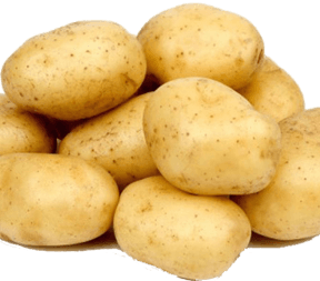 TOÀN PHÁT - KHOAI TÂY